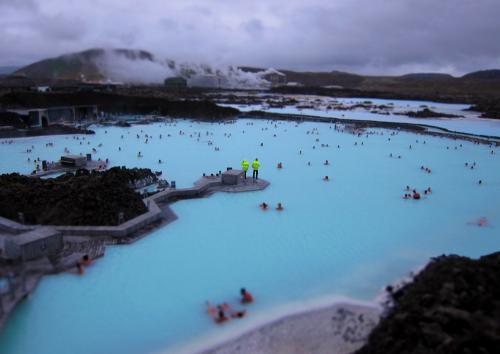 Blue Lagoon You're not alone