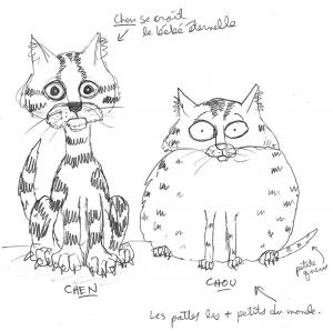 CHOU & CHEN- Croquis