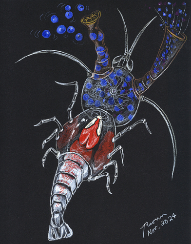 Deep Sea Shrimp Rimicaris exoculata