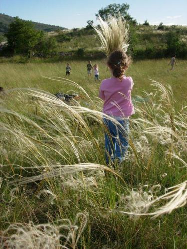 Hautes Herbes