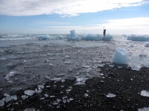 Jokulsarlon Paparazzi