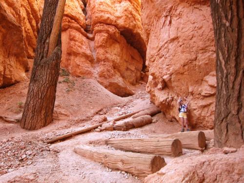 Les Gigantesques de Bryce