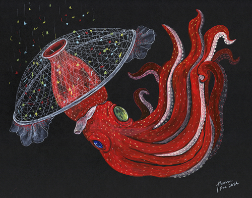 Strawberry Squid Histioteuthis heteropsis