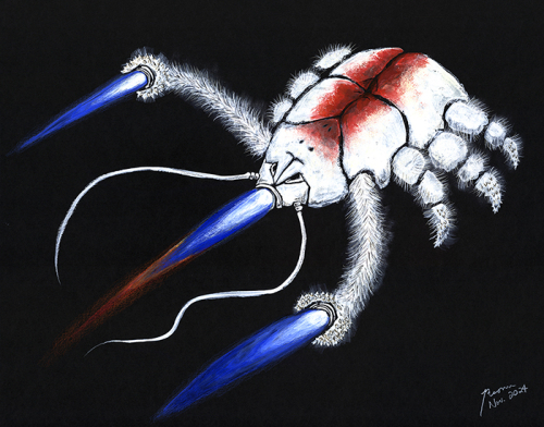 Yeti crab Kiwa tyleri